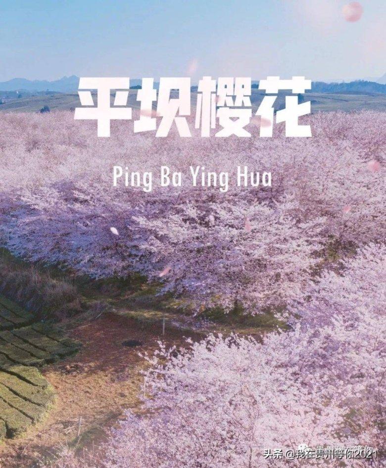 精准的神枪手